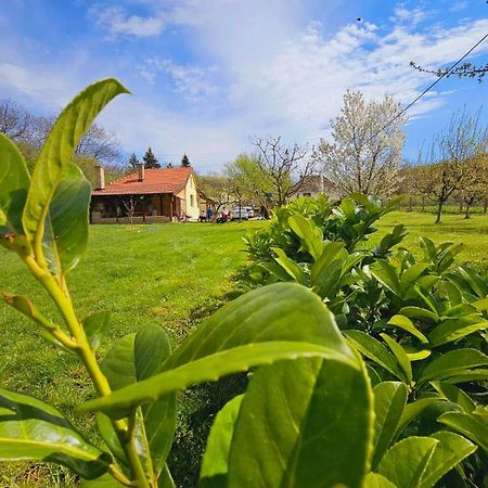Besenovacki Prnjavor Fruska Houseヴィラ エクステリア 写真