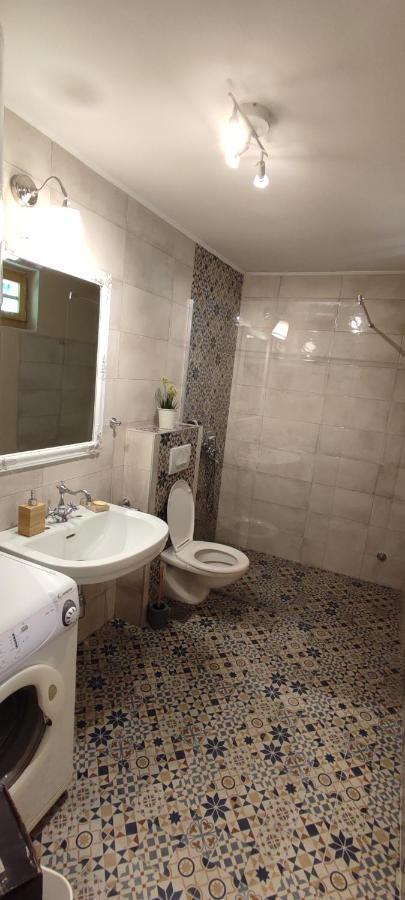 Besenovacki Prnjavor Fruska Houseヴィラ エクステリア 写真