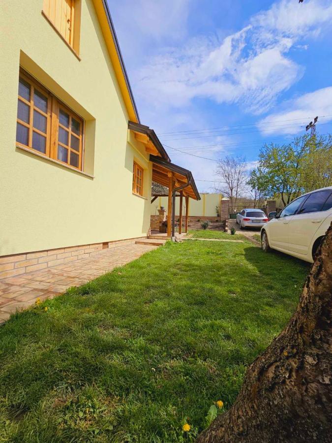 Besenovacki Prnjavor Fruska Houseヴィラ エクステリア 写真