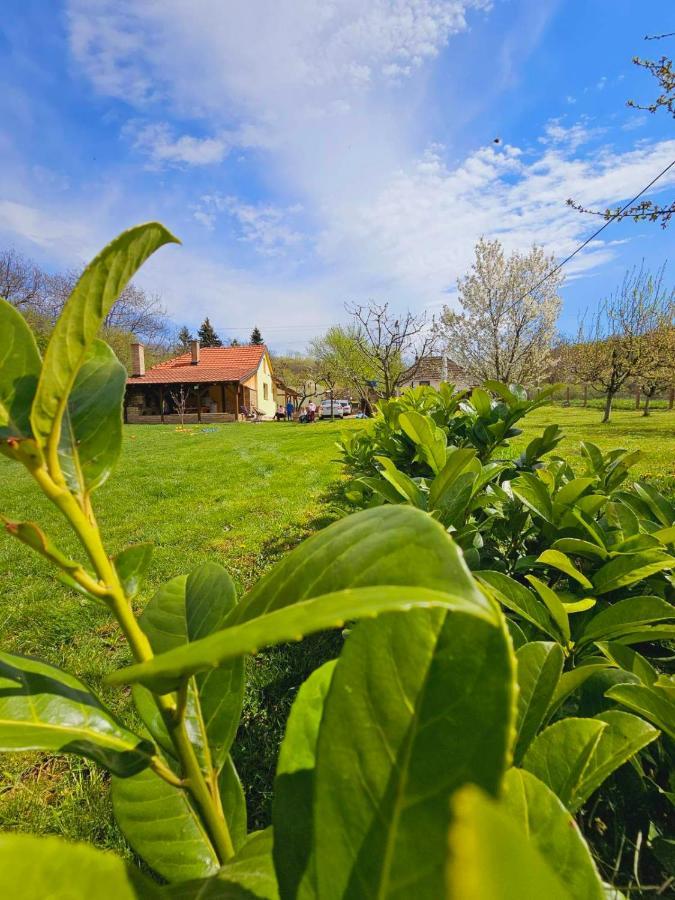Besenovacki Prnjavor Fruska Houseヴィラ エクステリア 写真