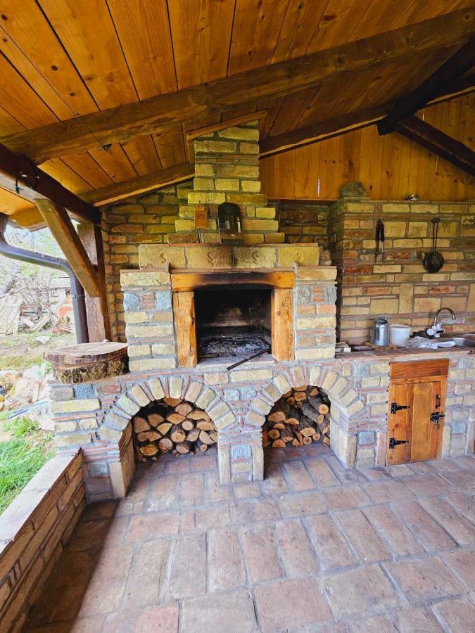 Besenovacki Prnjavor Fruska Houseヴィラ エクステリア 写真