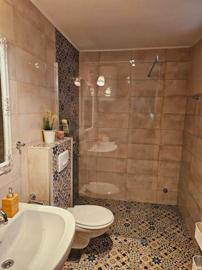 Besenovacki Prnjavor Fruska Houseヴィラ エクステリア 写真