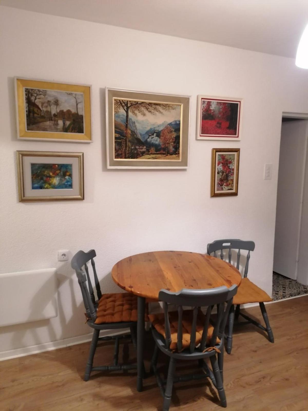 Besenovacki Prnjavor Fruska Houseヴィラ エクステリア 写真